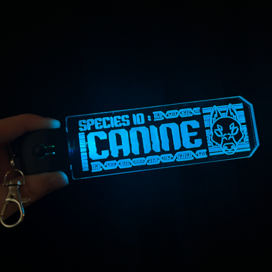 Canine LED Tag
