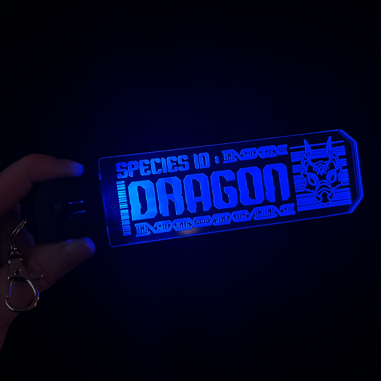 Dragon LED Tag