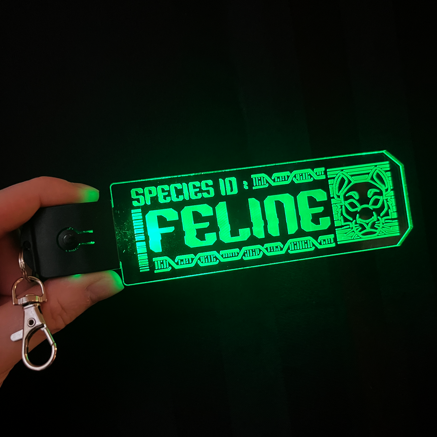 Feline LED Tag