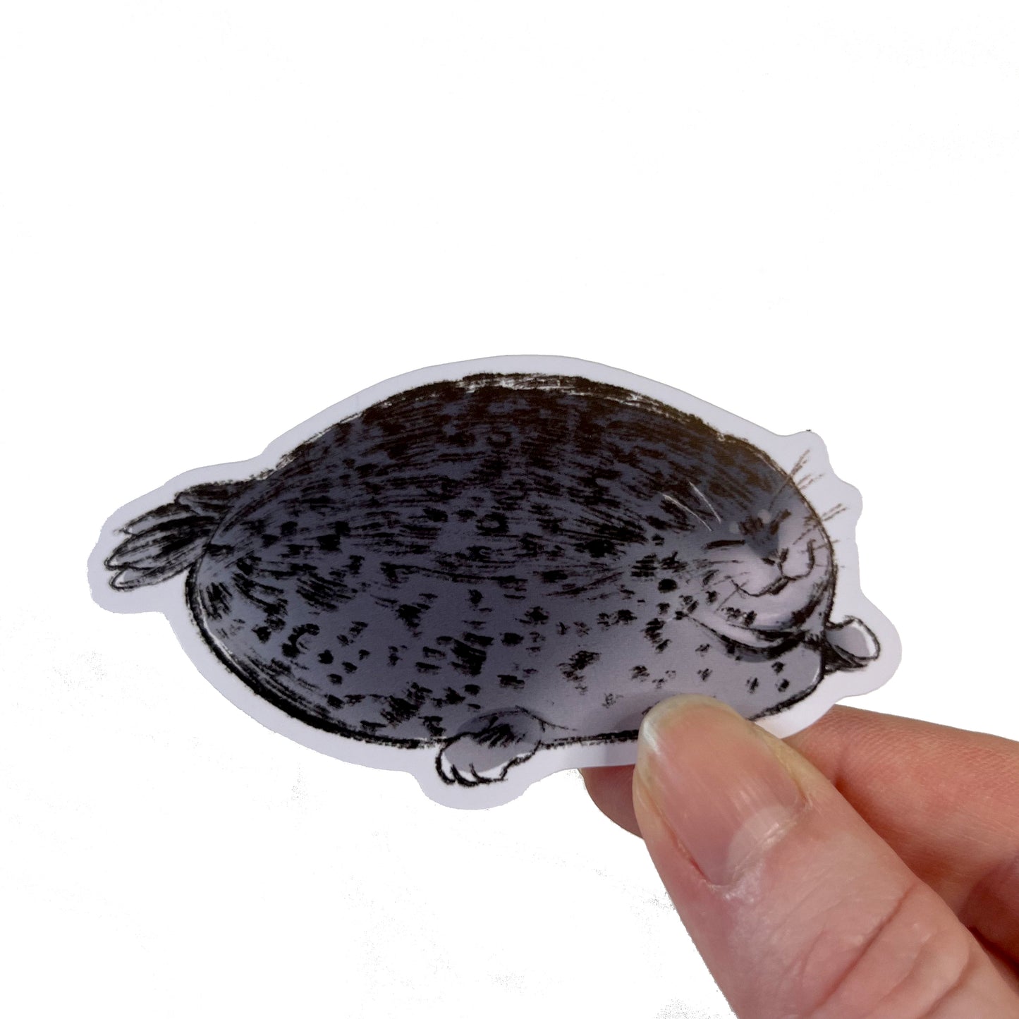Squishhh Seal Sticker 3inch